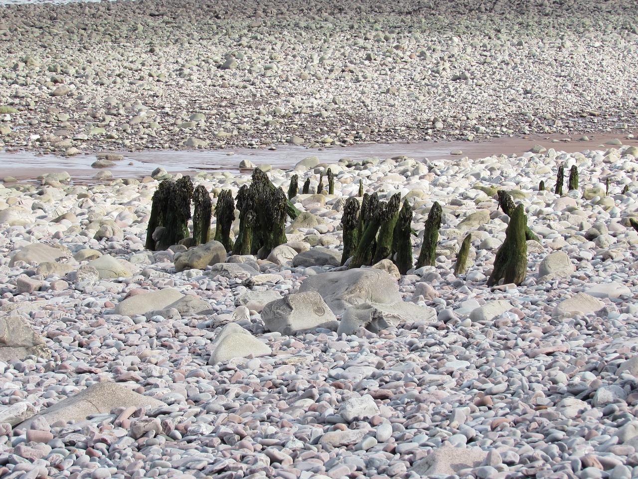 stones beach stony beach free photo