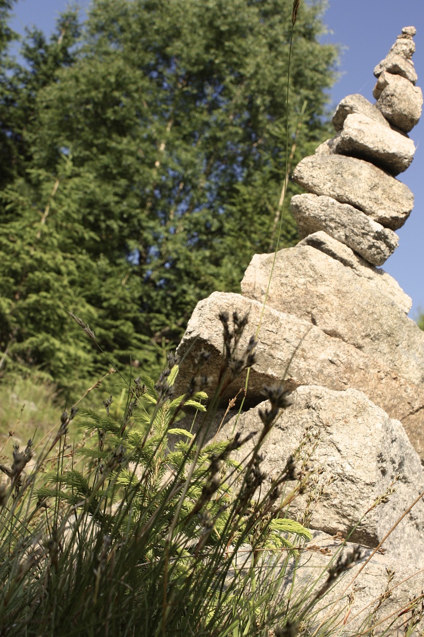 stones forest stone pile free photo