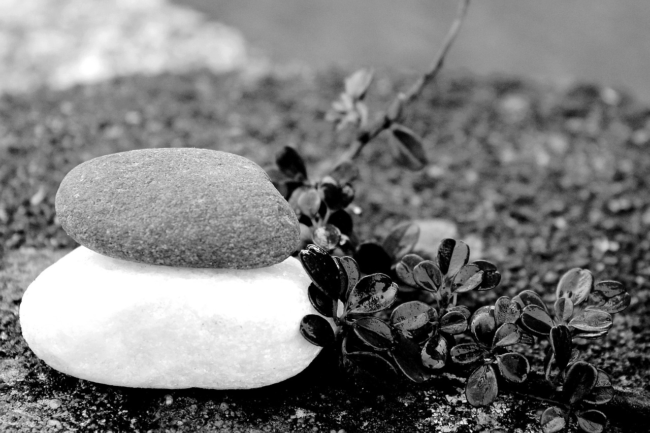 stones meditation balance free photo
