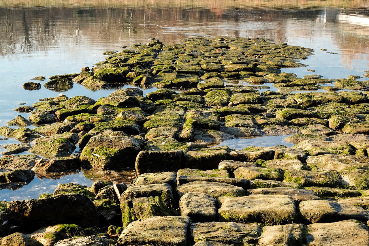 stones water river free photo