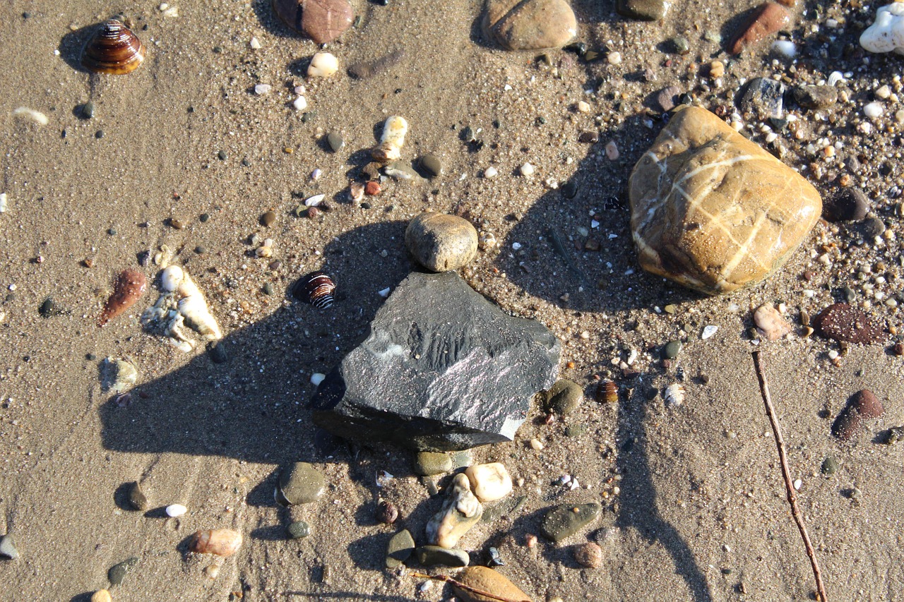 stones beach shadow free photo