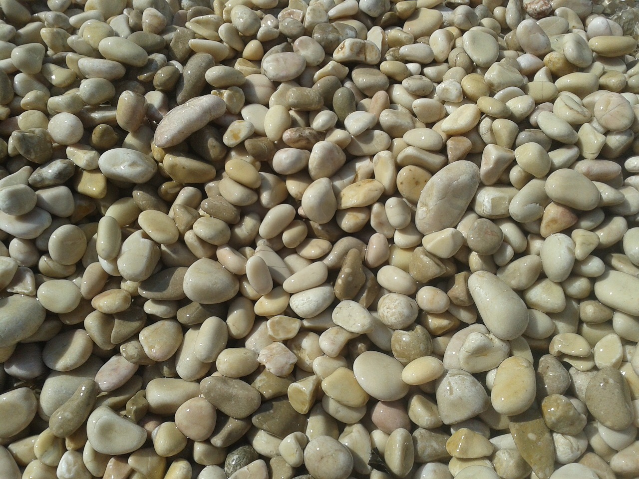 stones beach sassi free photo