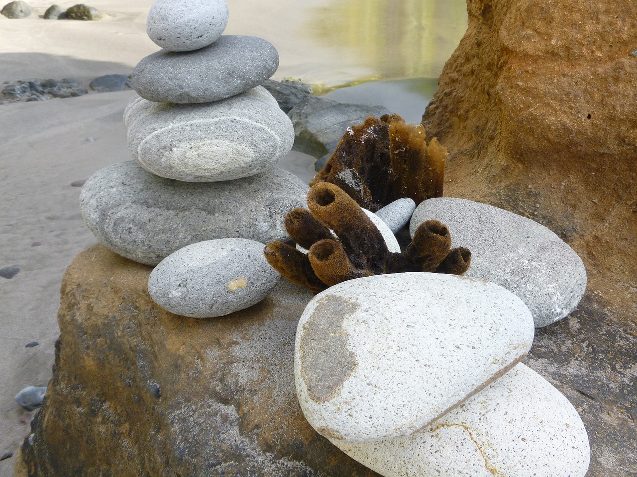 stones figure beach free photo