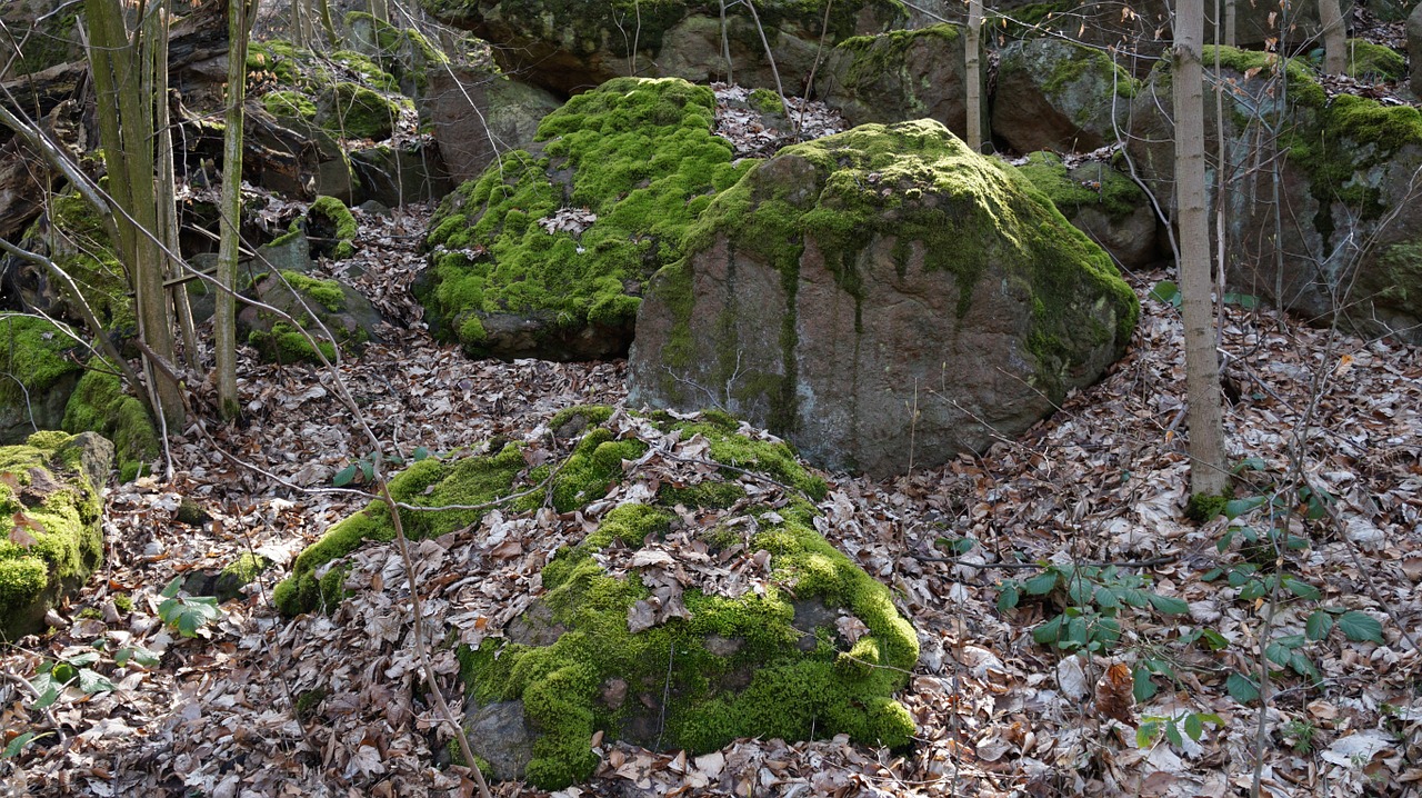 stones moss green free photo