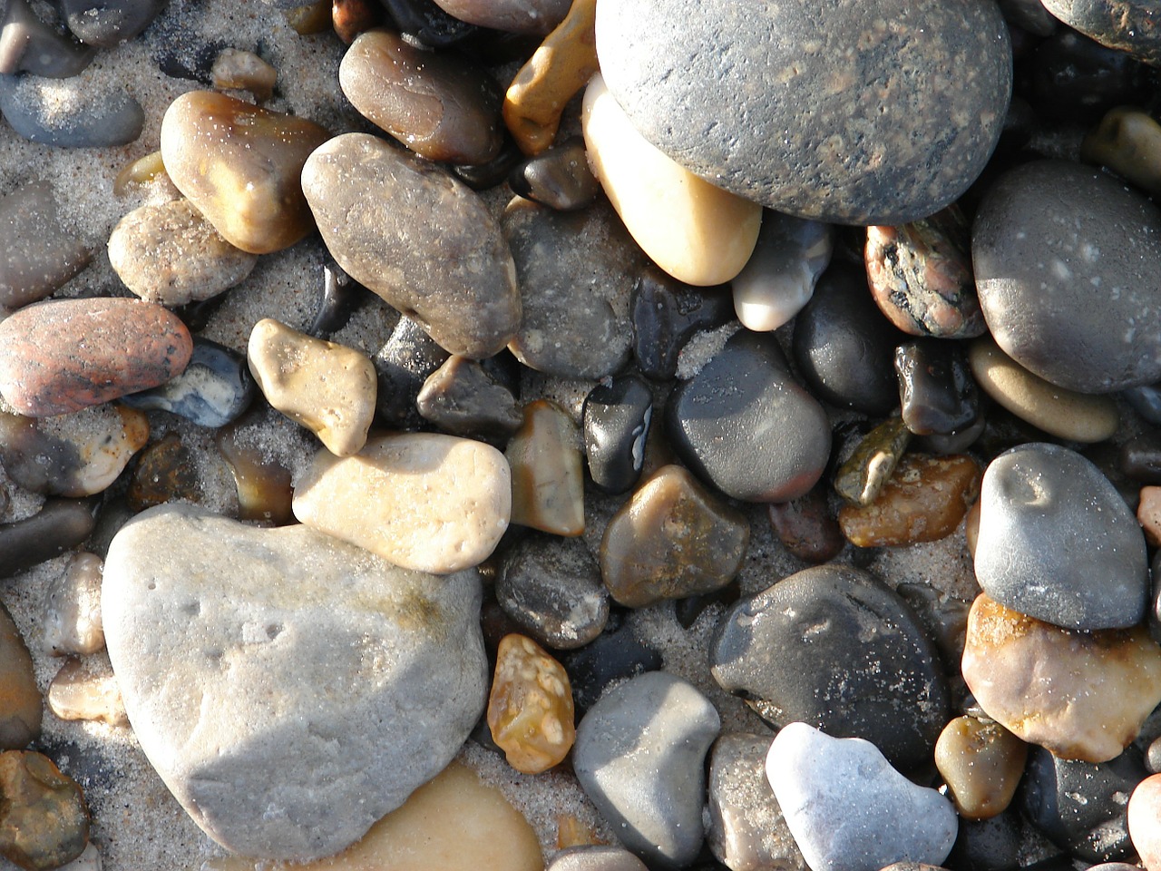 stones beach sea free photo