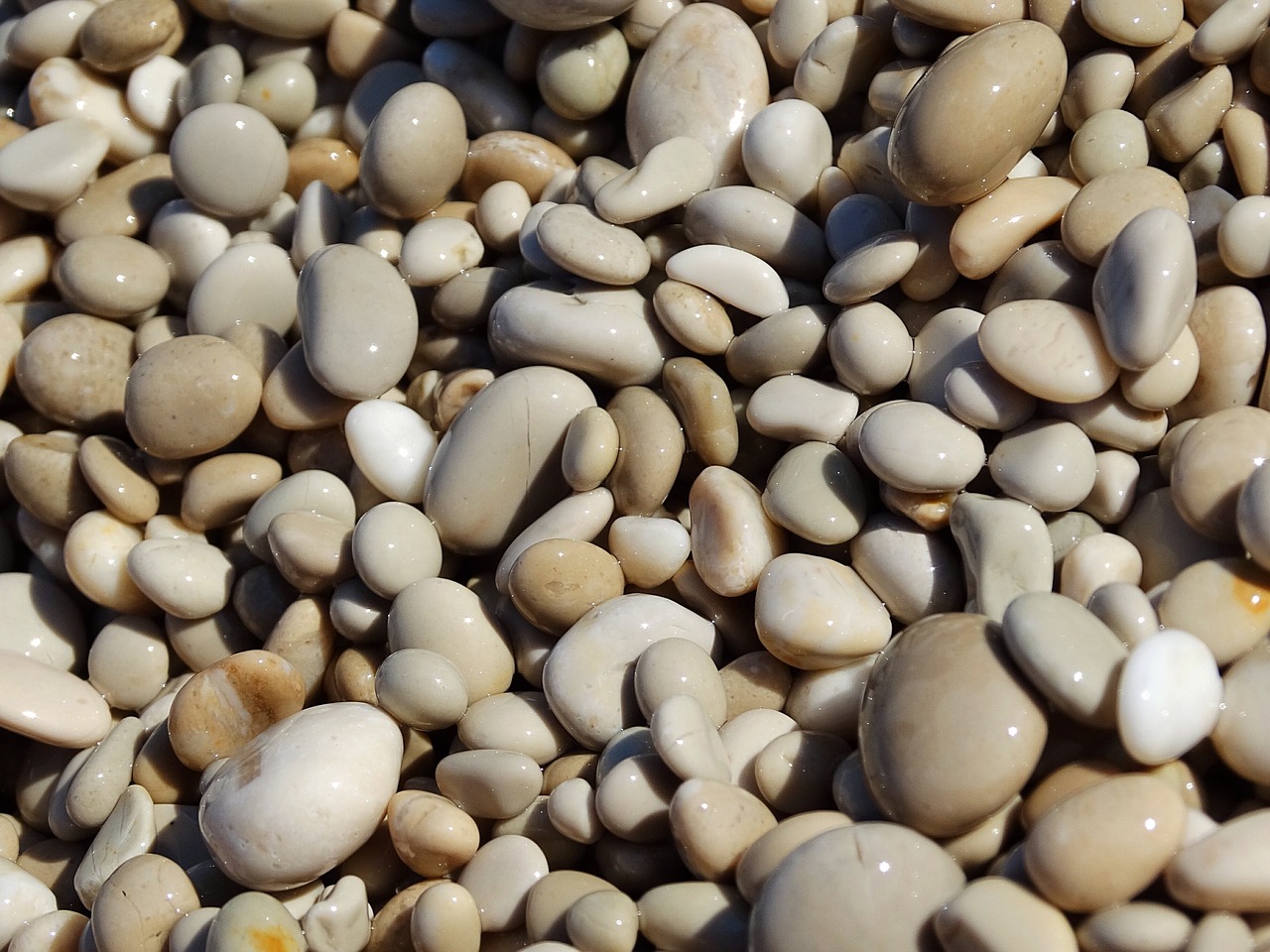 stones pebbles sea free photo