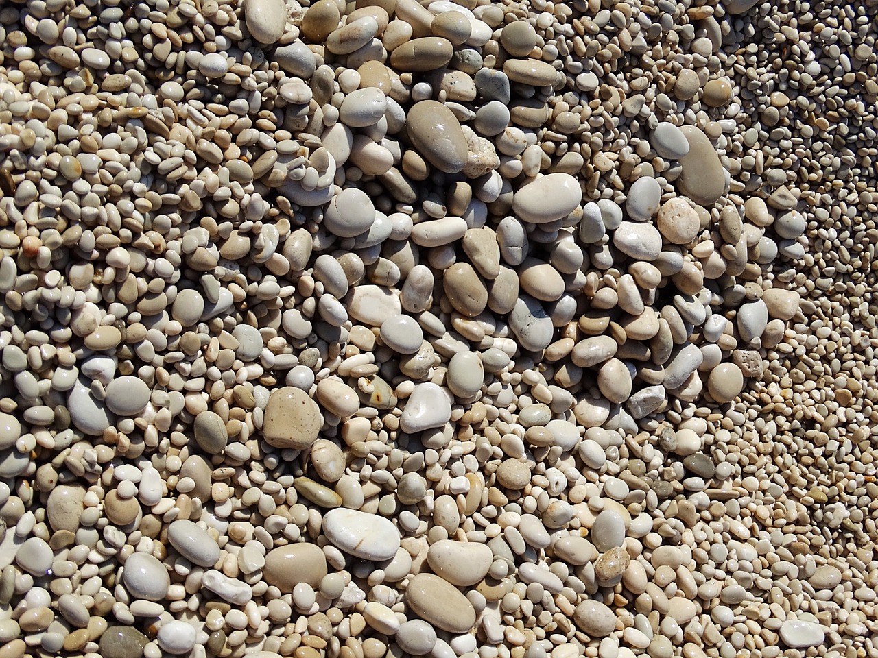 stones sea pebbles free photo