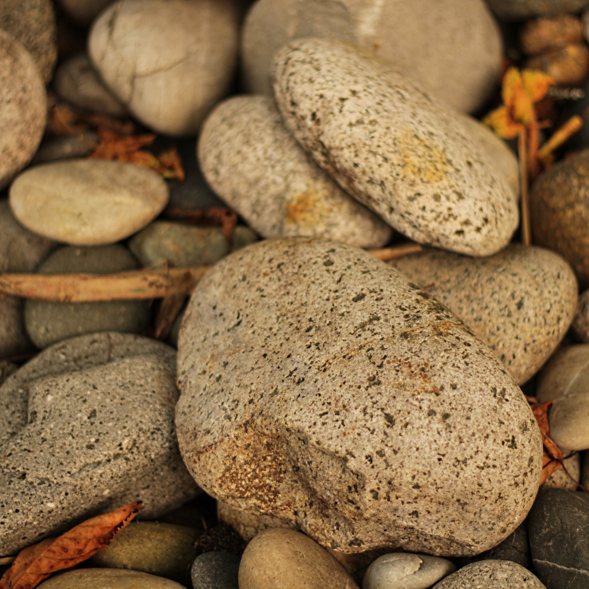 stones rocks background free photo