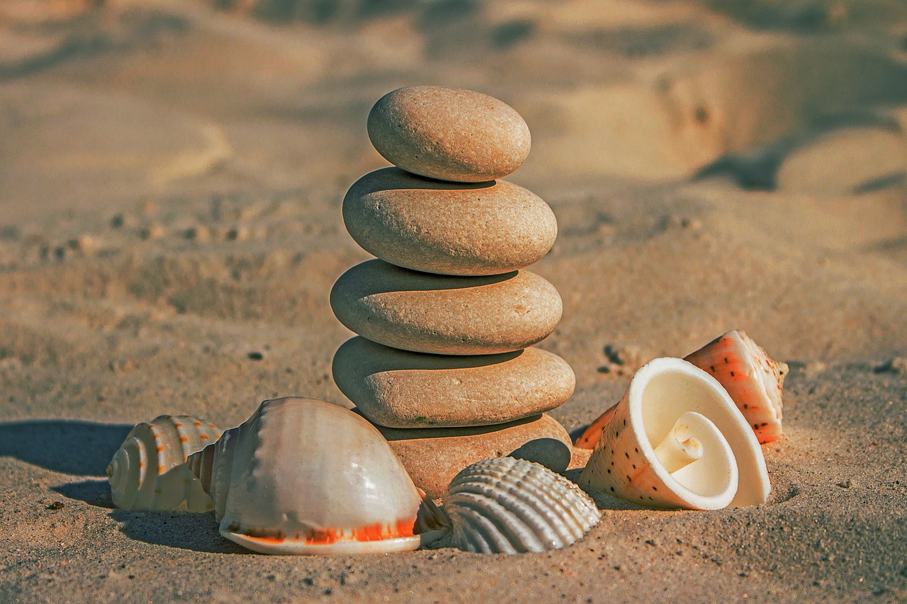 stones beach sand sea shells free photo