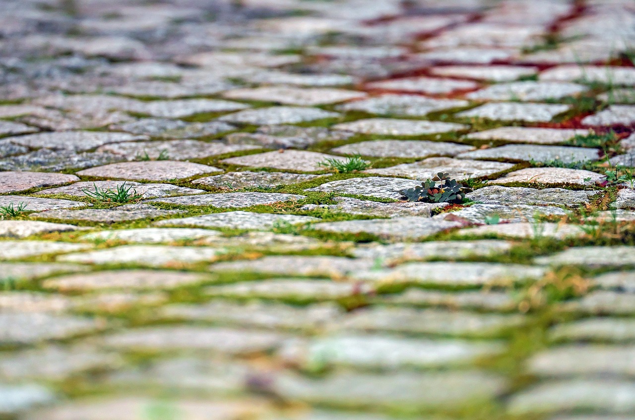 stones paving stones pavement free photo