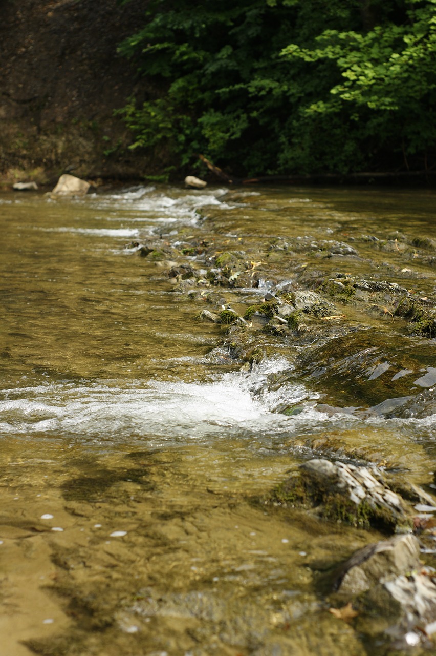 stones shales river free photo