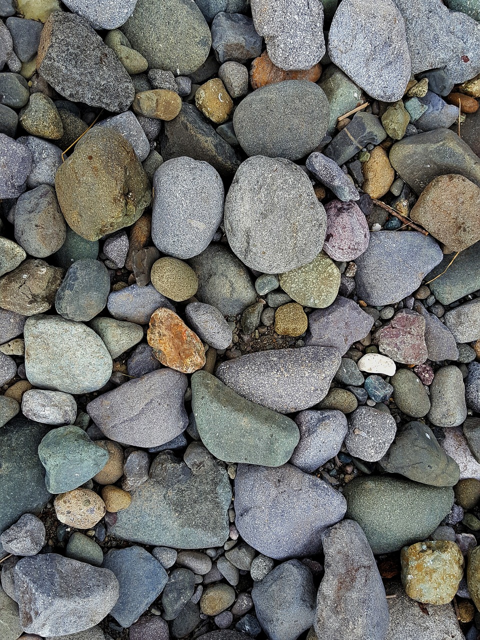 stones pebbles nature free photo