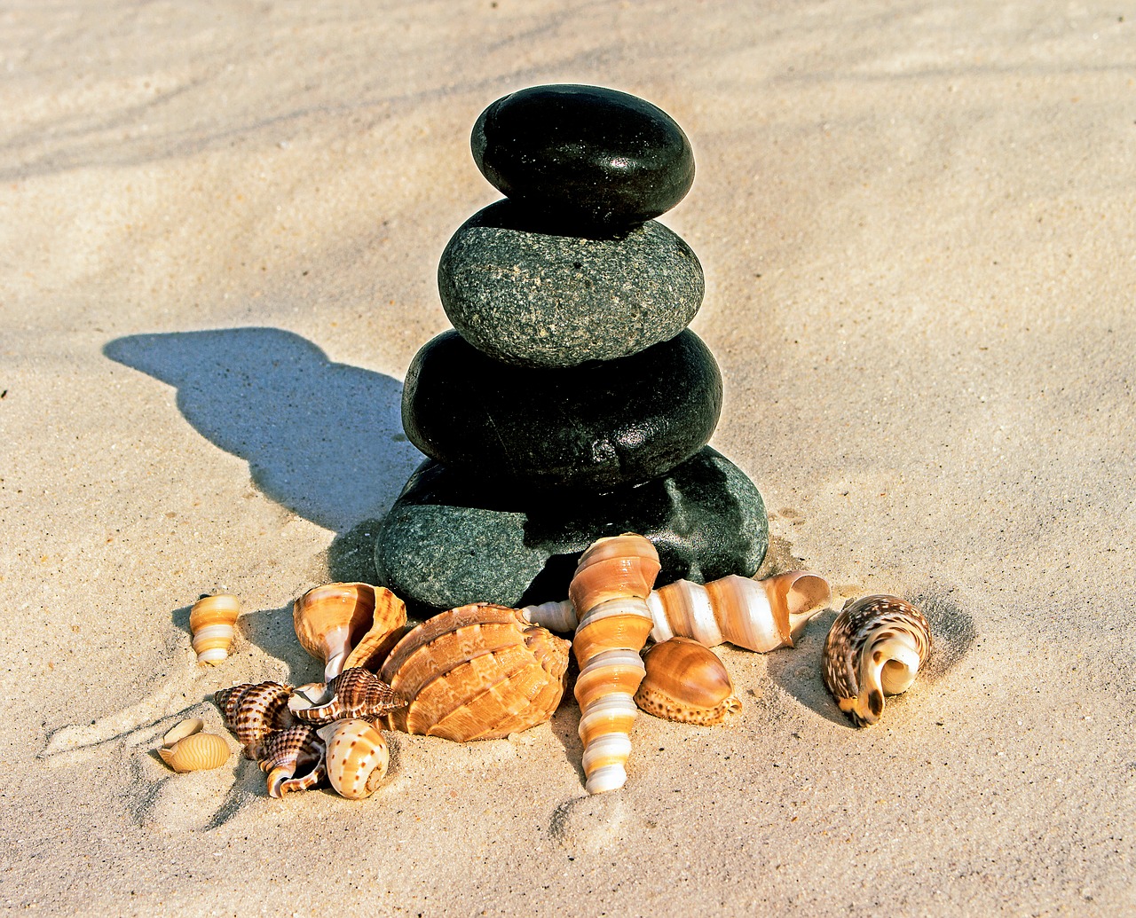 stones sea shells beach free photo