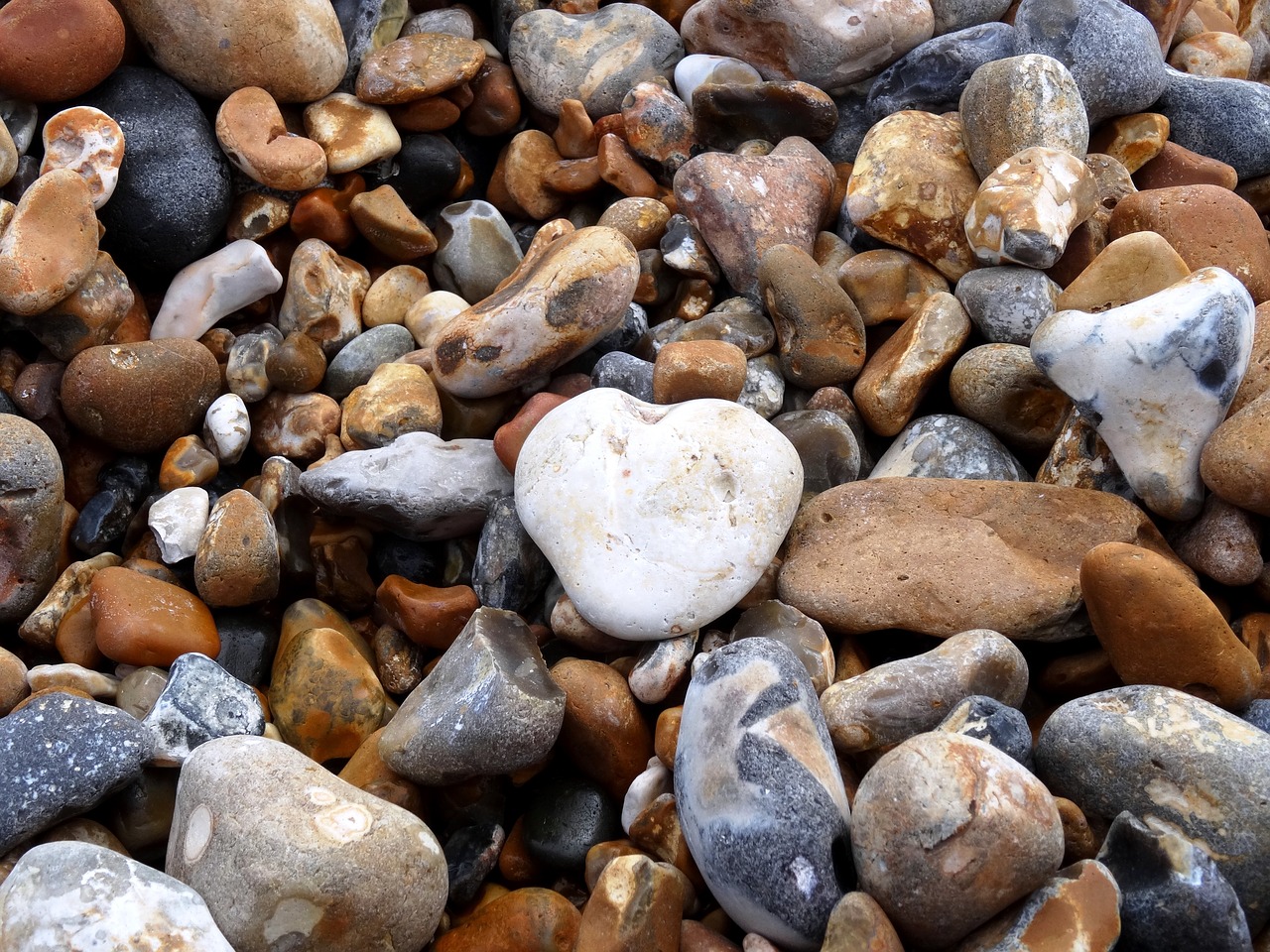 stones bank sea free photo