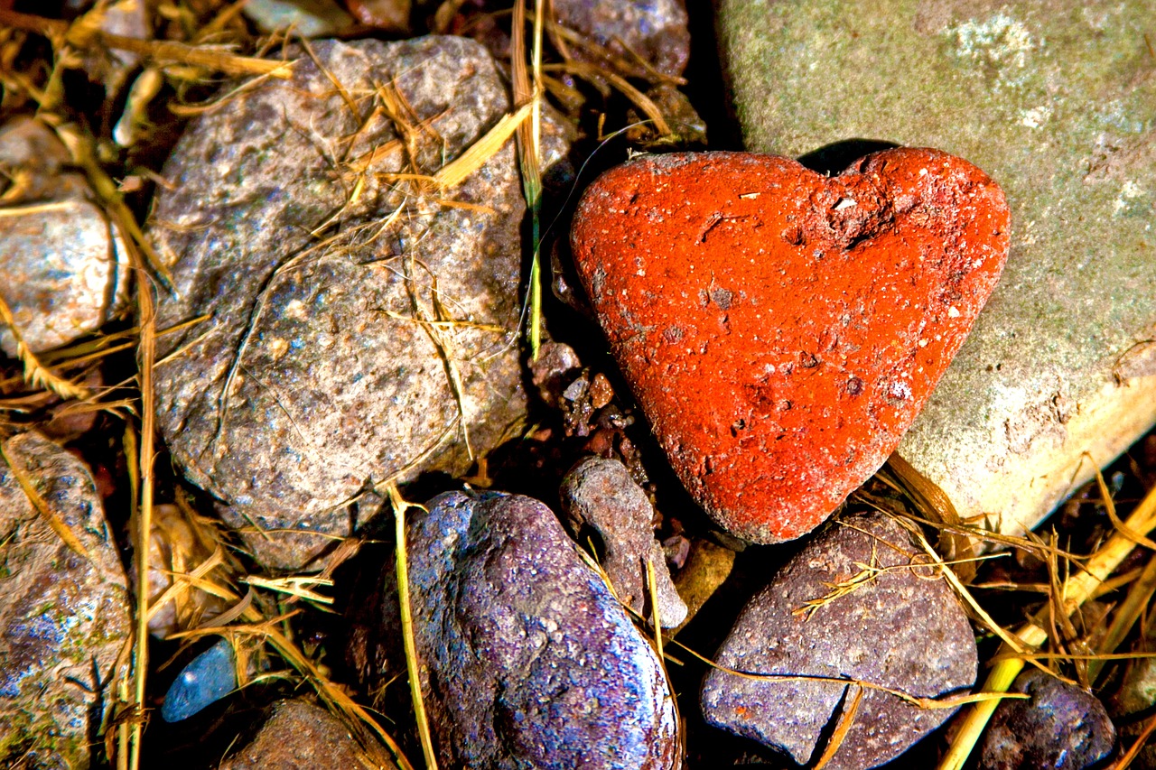 stones heart nature free photo