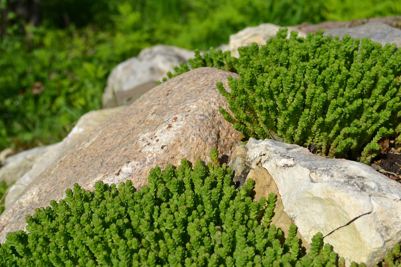 stones greens alpine slide free photo