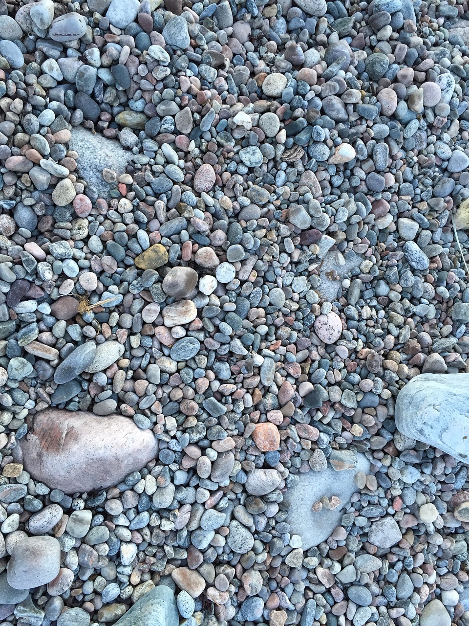 stones beach coast free photo