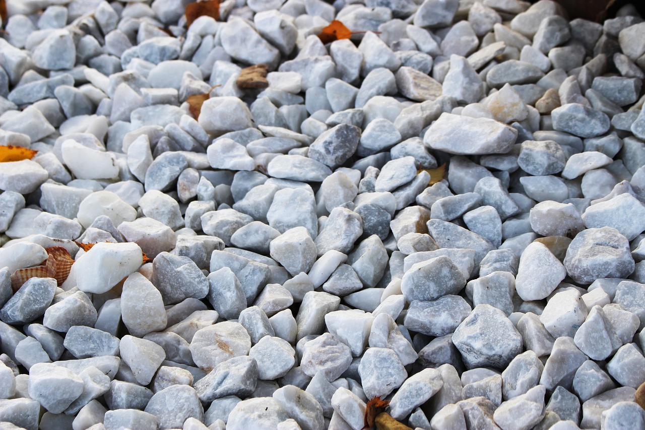 stones silica seashell free photo