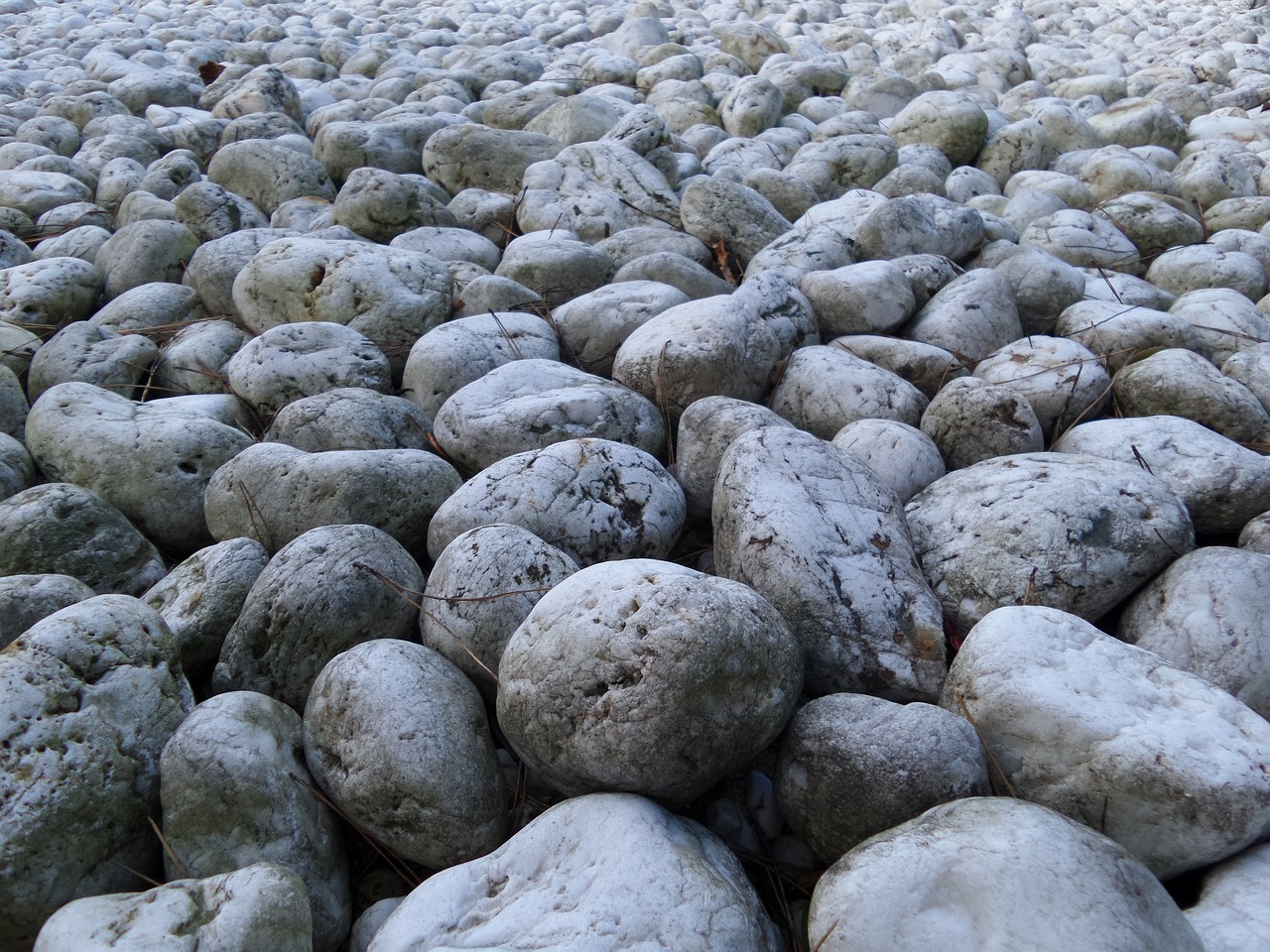 stones grey pavement free photo