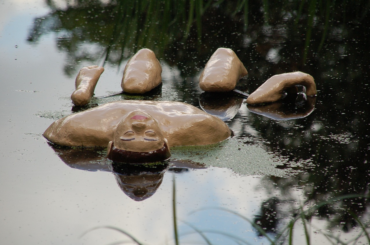 stones water mirroring free photo