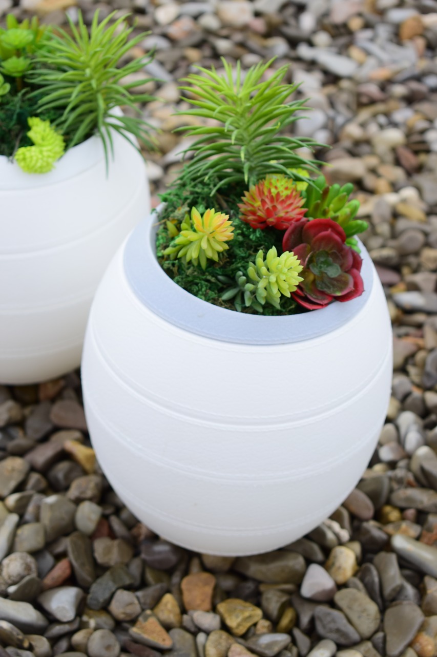 stones plants funeral urns free photo