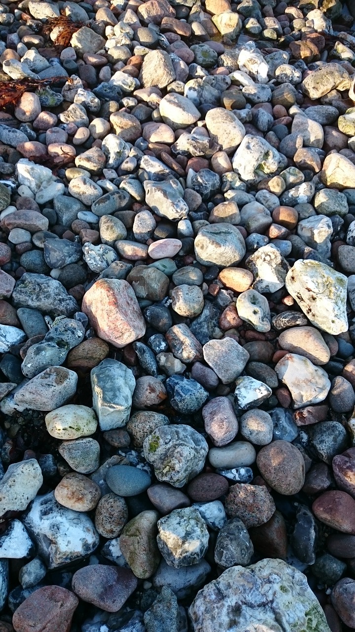 stones baltic sea beach danish baltic sea coast free photo