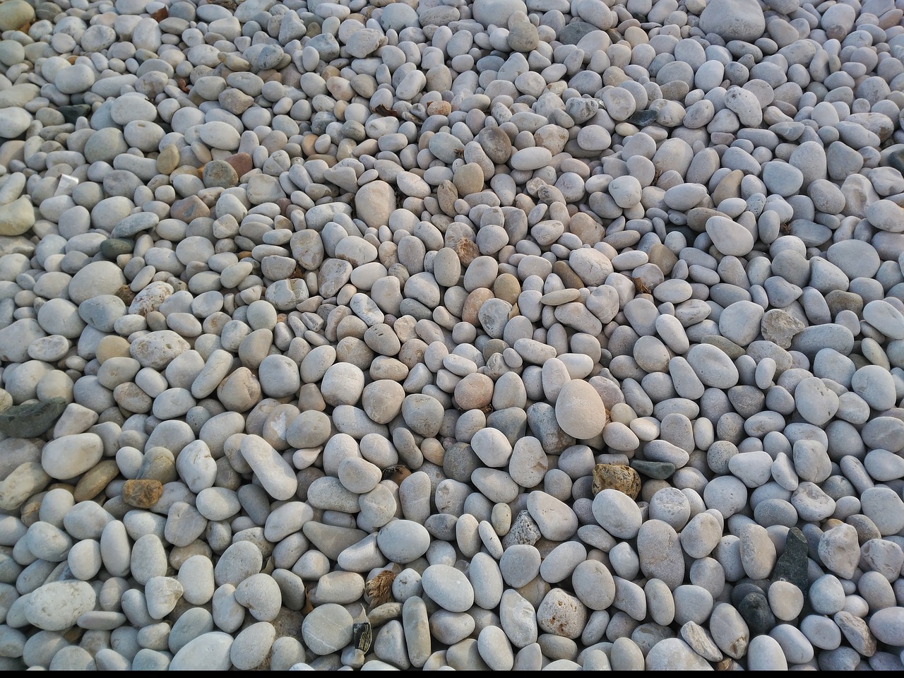 stones beach rocks free photo