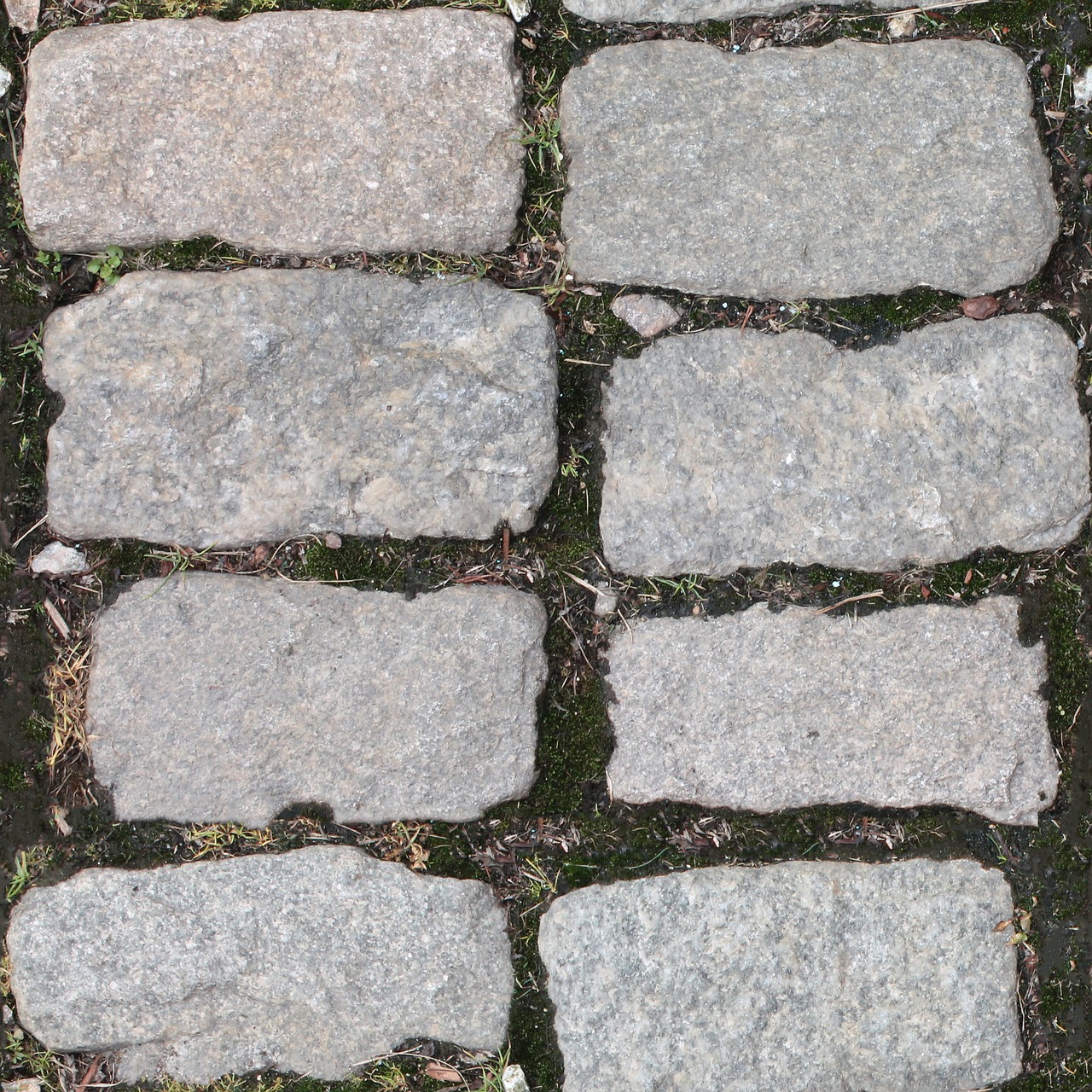 stones stone walkway free photo