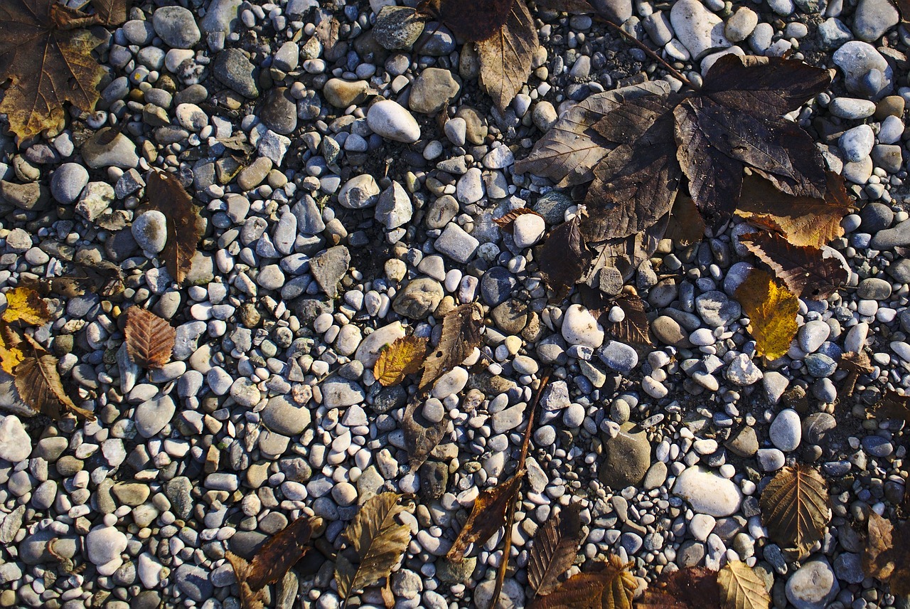 stones leaves autumn free photo