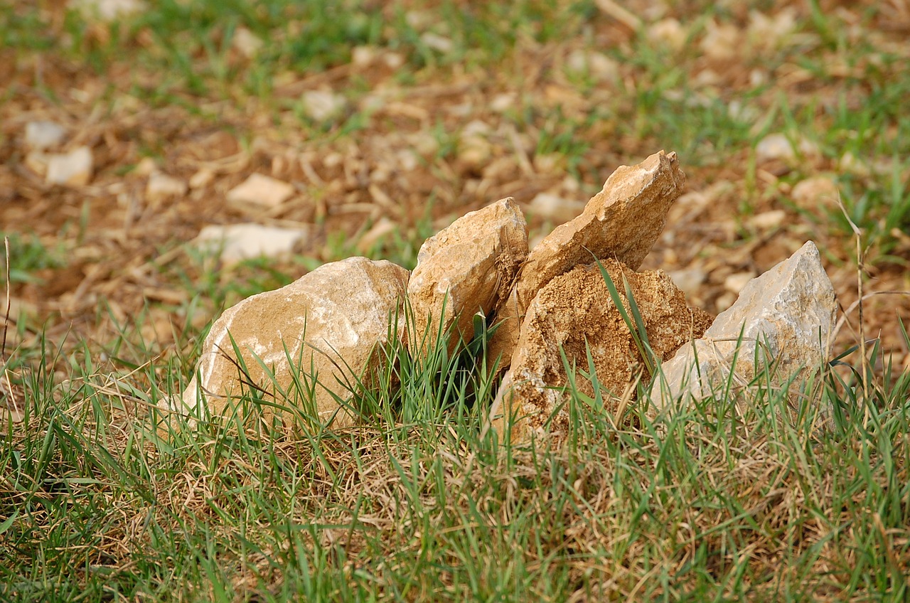 stones meadow rock free photo