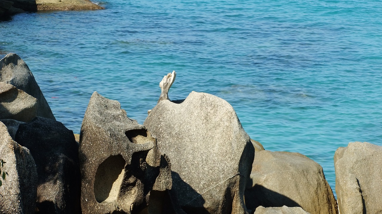 stones rocks ocean free photo