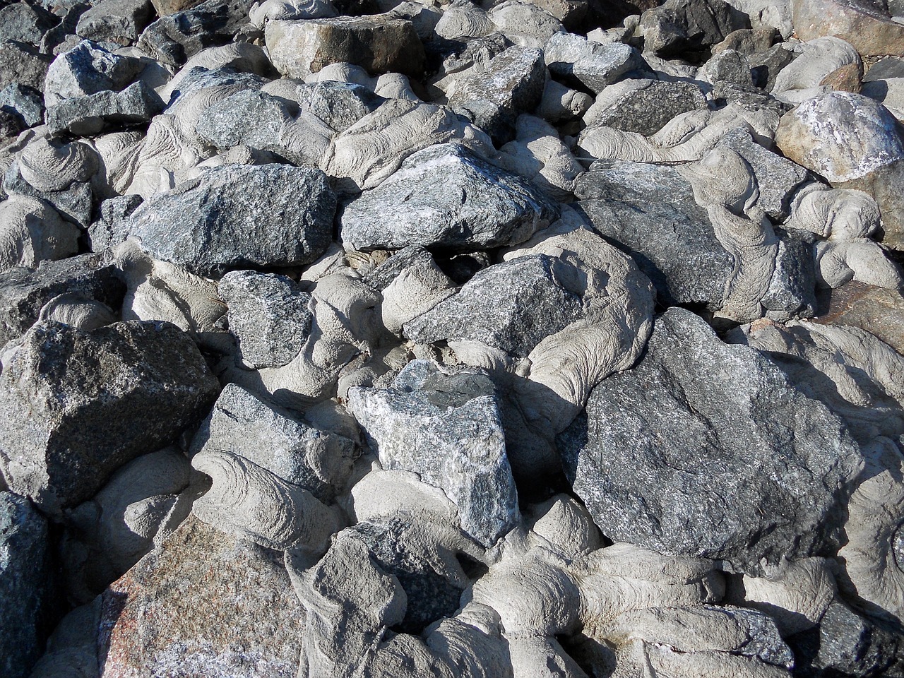 stones north sea coast free photo