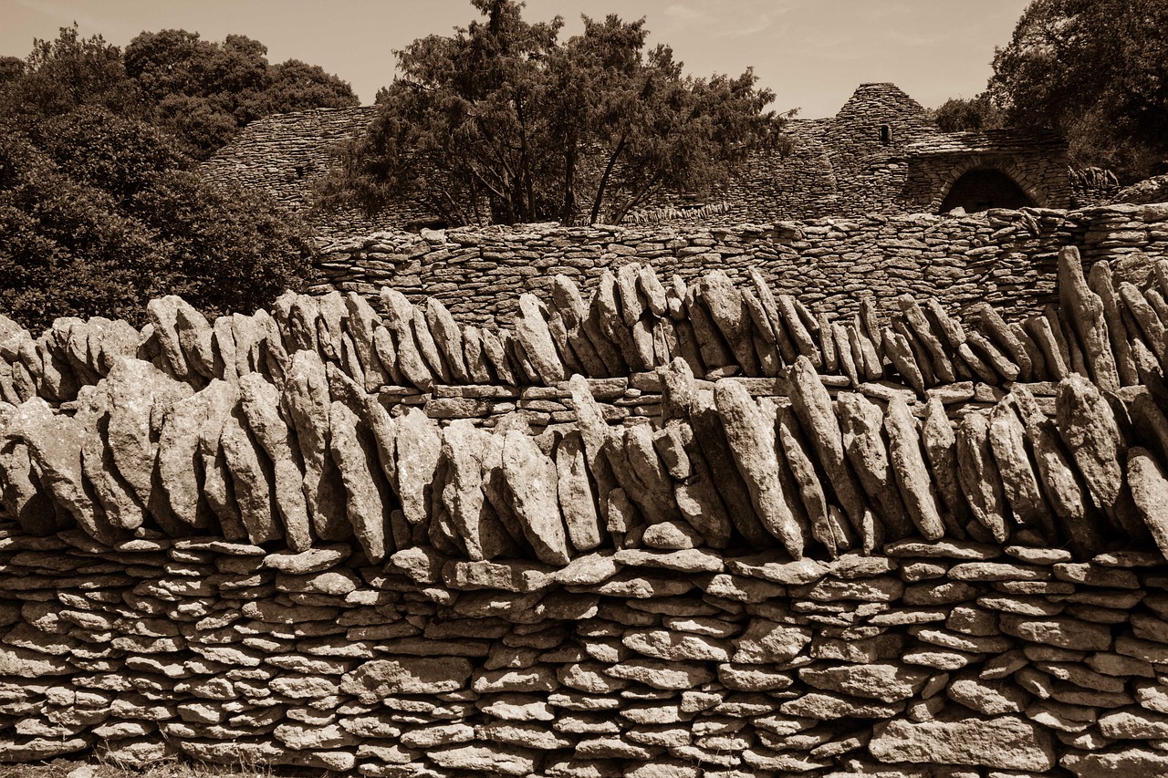 stones trees wall free photo