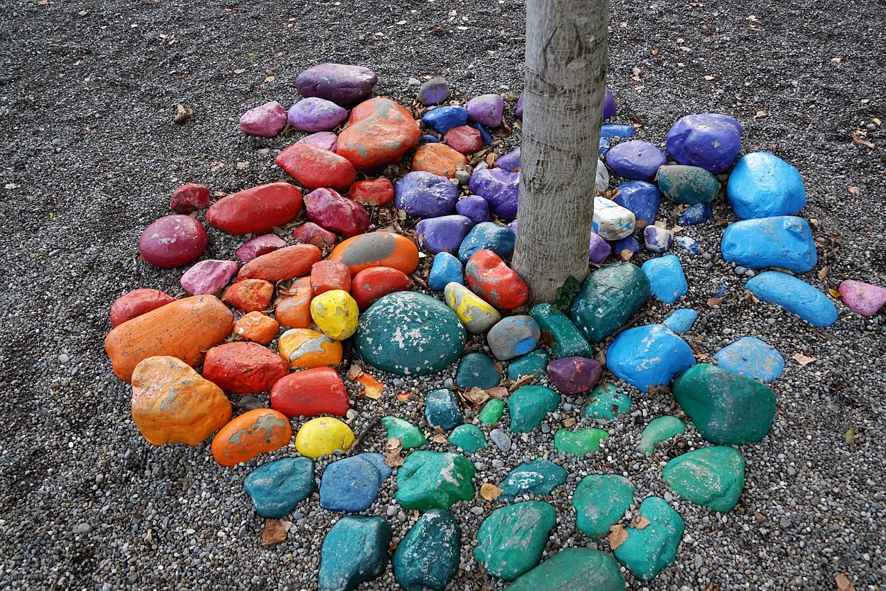 stones colorful tree free photo