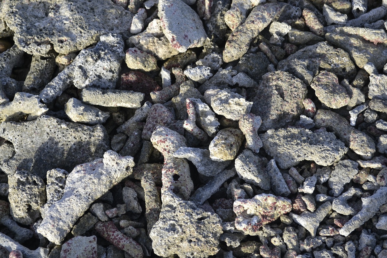 stones beach grey free photo
