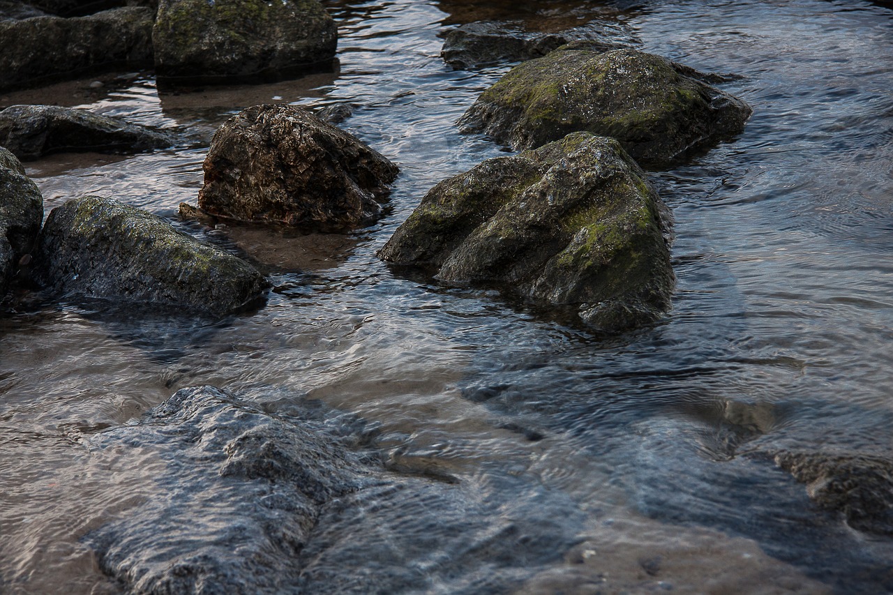 stones sea coast free photo