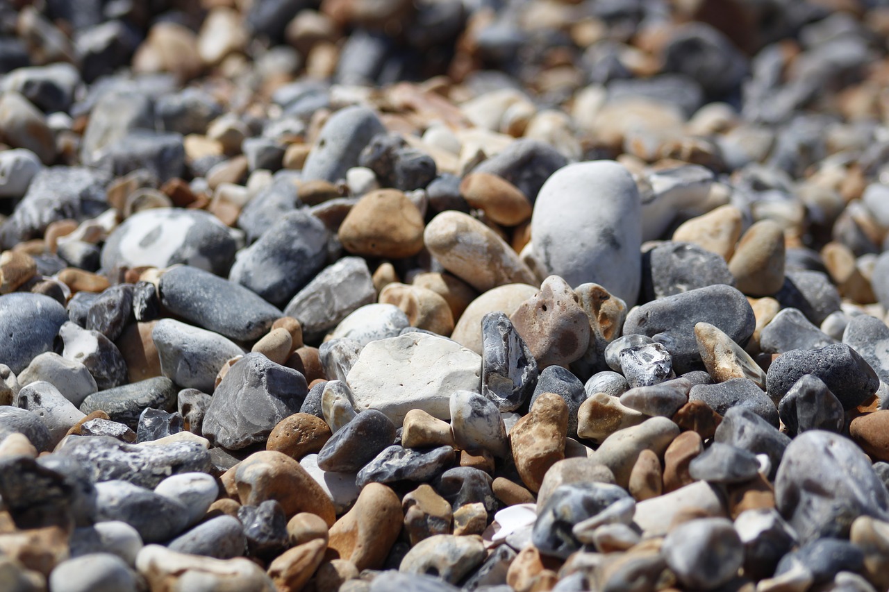 stones beach shore free photo