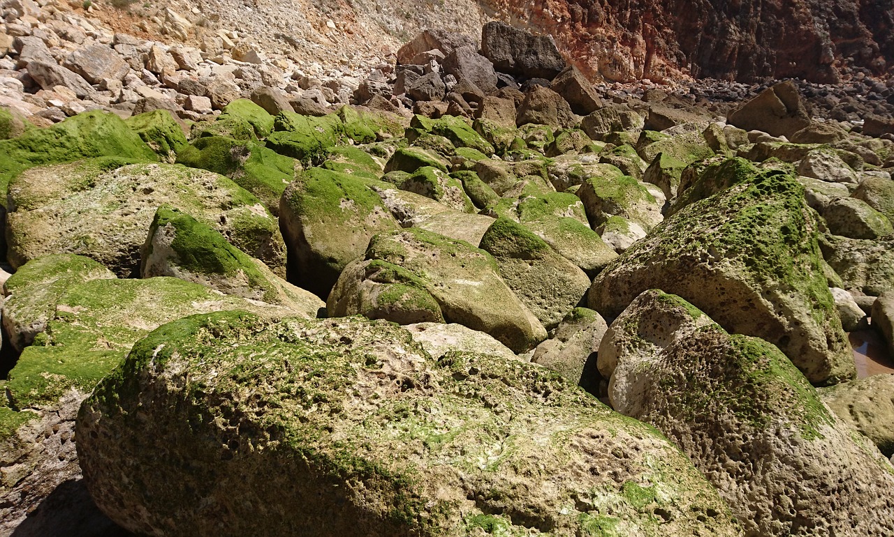 stones nature coast free photo