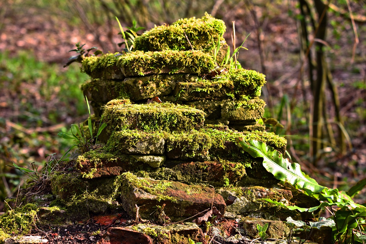 stones  moss grown  old stones free photo