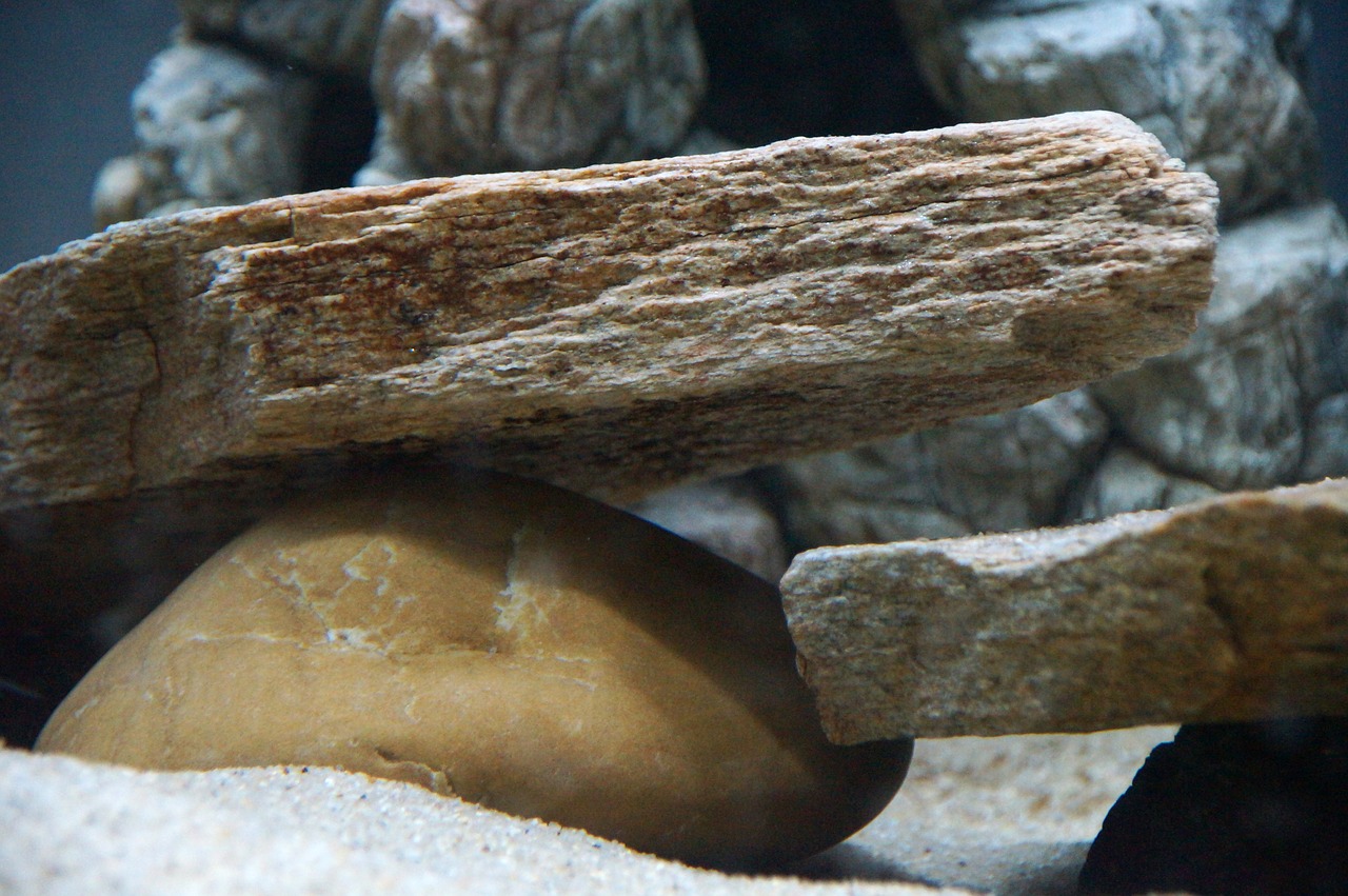 stones  yellow gneiss  aquarium free photo