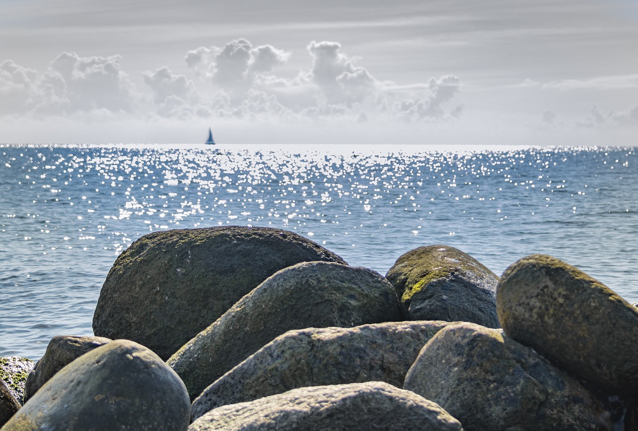 stones  coast  sea free photo