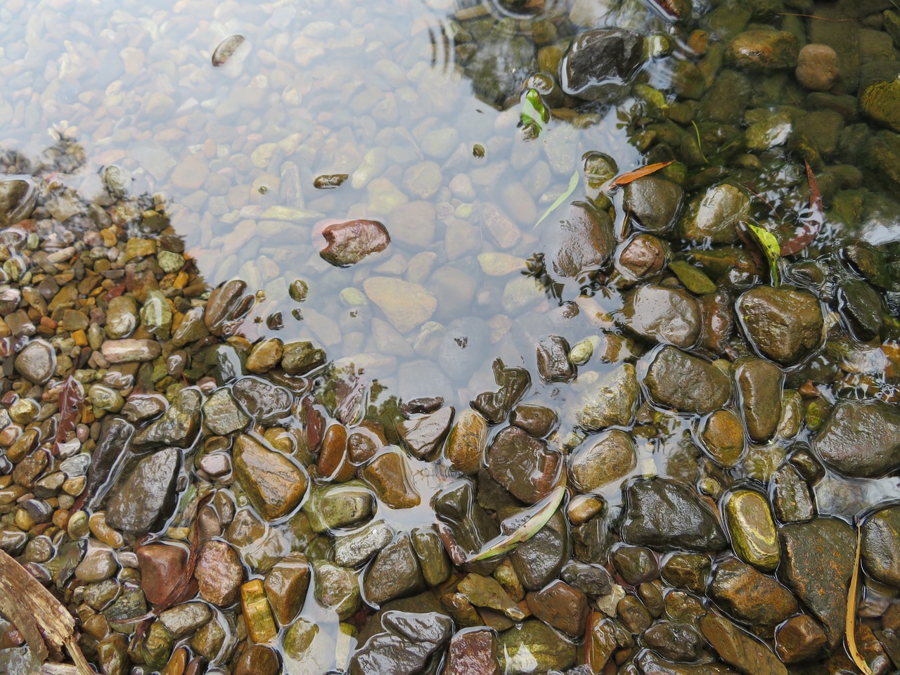 stones  rocks  water free photo