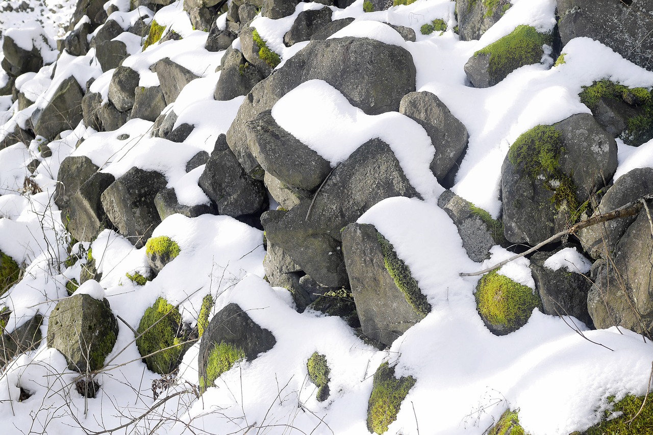 stones  winter  snow free photo