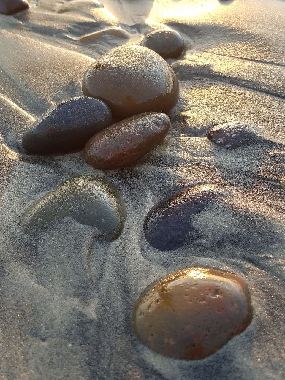 stones  shore  sand free photo