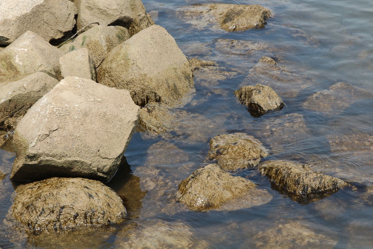 stones water rhine free photo