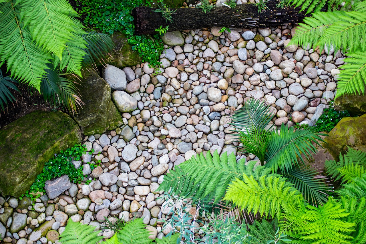 stones  leaves  nature free photo