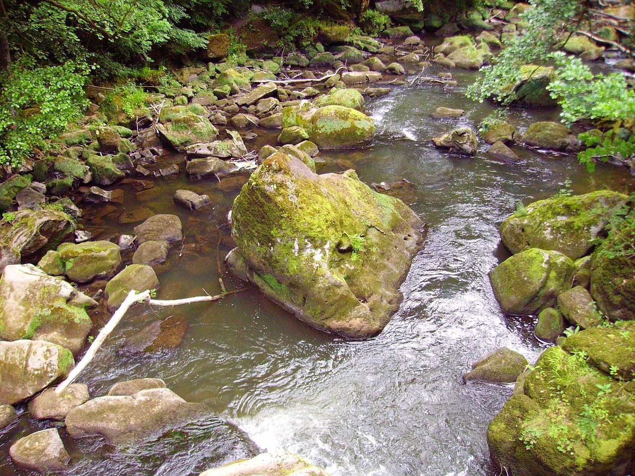 stones river water free photo