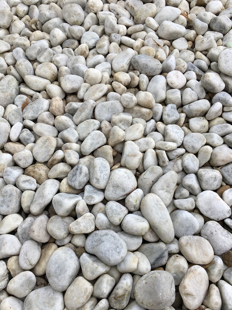 stones  white  colors of nature free photo