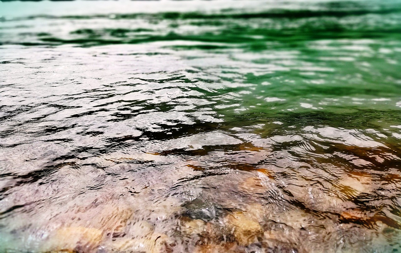 stones  water  stream free photo