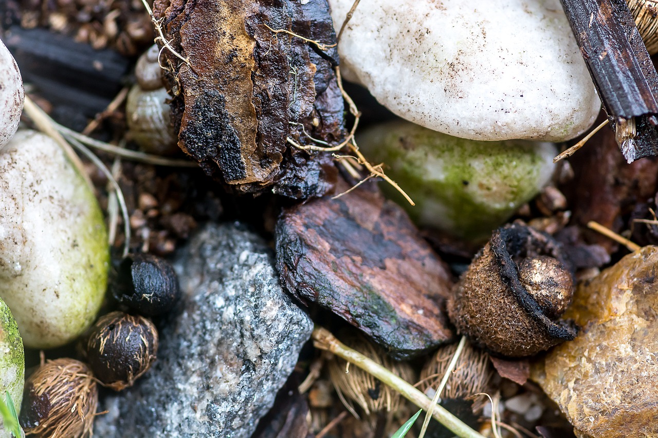 stones  nature  outdoor free photo